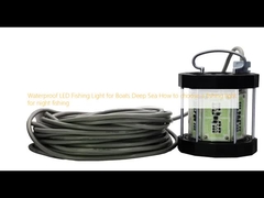 Wasserdichtes LED-Fischlicht für Boote Tiefsee Wie wählt man ein Fischerlicht für Nachtfischen